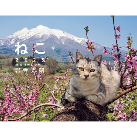 CATEGORY 岩合光昭 | Crevis Online Store CATEGORY 岩合光昭 | Crevis Online Store
