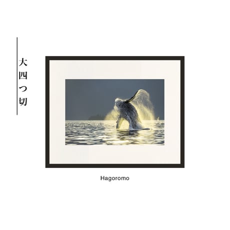 【松本紀生】オリジナルプリント「Hagoromo」