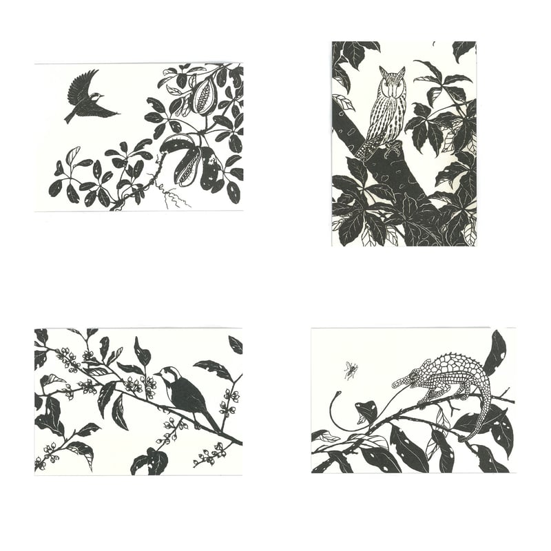 もりびとページ JBL 4312A STUDIO MONITORS – 1-YEAR WARRANTY – DIRECT