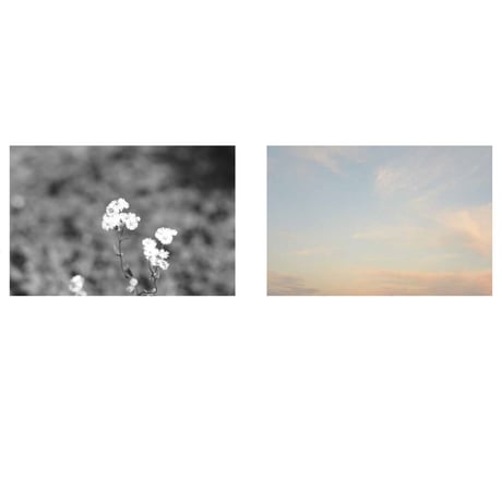 【有安杏果】写真集『ヒカリの声』