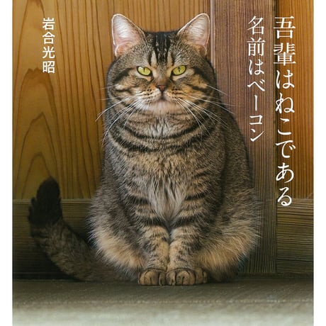 【岩合光昭】IWAGO’S BOOK ⑥『吾輩はねこである 名前はベーコン』