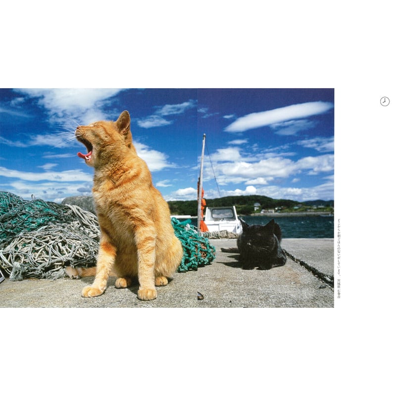 岩合光昭】IWAGO'S BOOK ①『ねこのとけい』 | Crevis Online S 岩合光昭】IWAGO'S BOOK ①『ねこのとけい』 | Crevis Online S