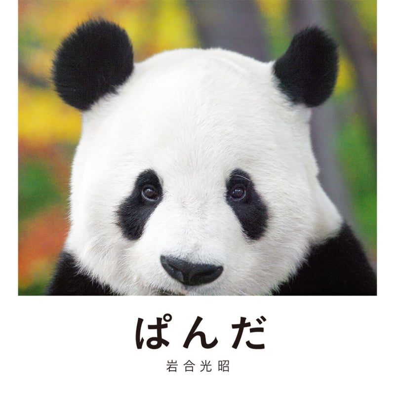 岩合光昭】写真集『ぱんだ』 | Crevis Online Store