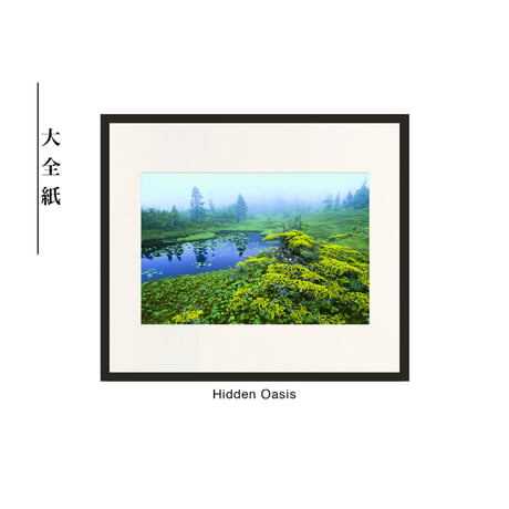 【松本紀生】オリジナルプリント「Hidden Oasis」