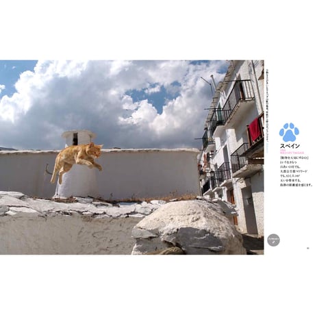 【岩合光昭】写真集『岩合光昭の世界ネコ歩き2』