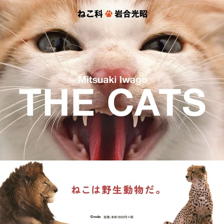 【岩合光昭】写真集『ねこ科』