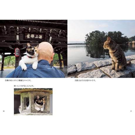 【岩合光昭】写真文庫『ねこの京都』