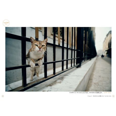 【岩合光昭】写真文庫『ねこ』