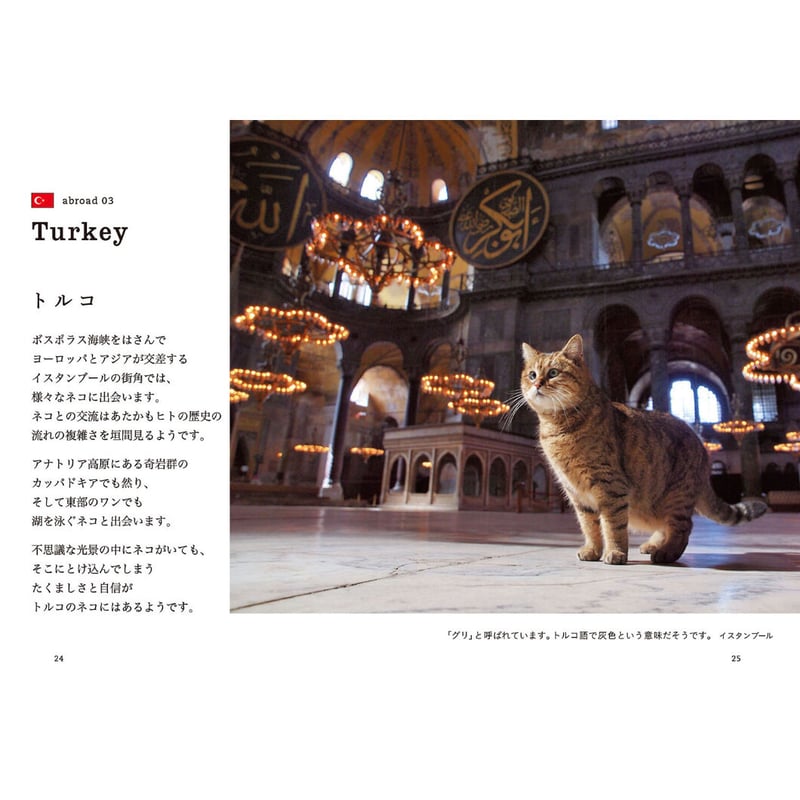岩合光昭】写真文庫『ねこ歩き』 | Crevis Online Store