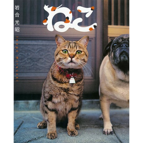 【岩合光昭】写真集『ねこ』