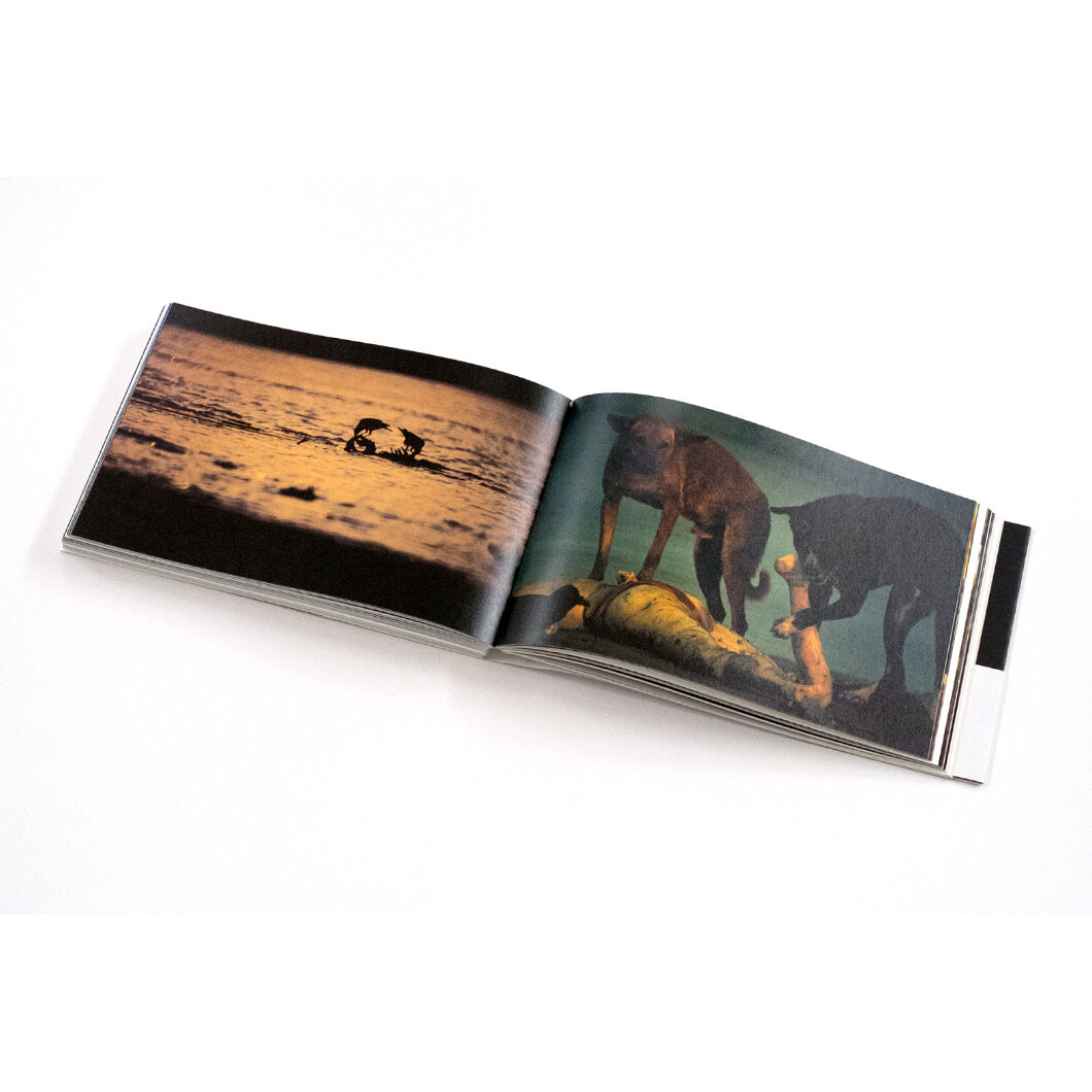 Shinya Fujiwara 藤原新也　 「メメントモリ」　オリジナルプリント Shinya Fujiwara: An original print from the book「Memento