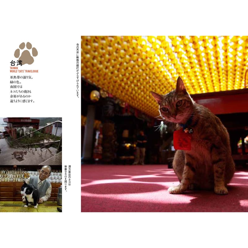 岩合光昭】写真文庫『岩合光昭の世界ネコ歩き』 | Crevis Online 岩合光昭】写真文庫『岩合光昭の世界ネコ歩き』 | Crevis Online