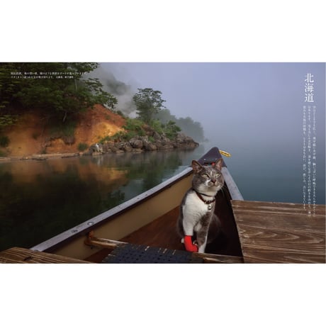 【岩合光昭】写真集『岩合光昭のご当地ねこ』