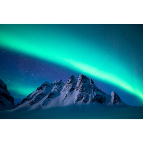 ブライアン・ワイルド・スミス　版画　蝶　ジクレ技法　art300枚限定 ブライアン・ワイルド・スミス 版画 蝶 ジクレ技法 art300枚限定