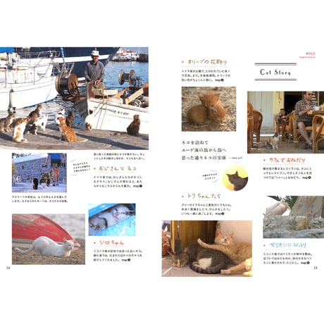 【岩合光昭】『岩合光昭の世界ネコ歩き 番組ガイドブック』
