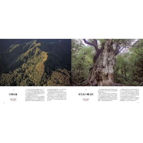 写真集『写真家たちの世界遺産』