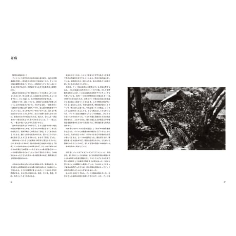 【W. ユージン・スミス、アイリーン・美緒子・スミス/訳：中尾ハジメ】写真集『MINAMATA』