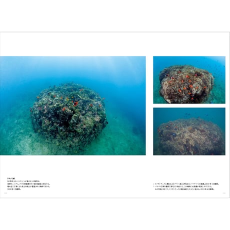 【中村卓哉】写真集『辺野古ー海と森がつなぐ命』