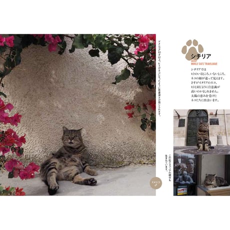 【岩合光昭】写真文庫『岩合光昭の世界ネコ歩き』