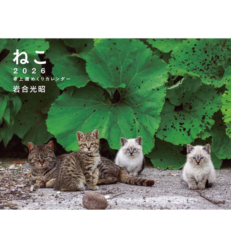 日経ナショナルジオグラフィック社　2004年　カレンダー　岩合光昭　親子のきずな 日経ナショナルジオグラフィック社 2004年 カレンダー 岩合光昭 親子の