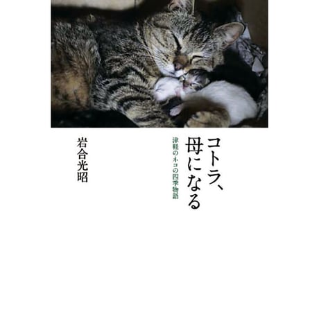 【岩合光昭】写文集『コトラ、母になる』