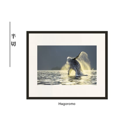 【松本紀生】オリジナルプリント「Hagoromo」