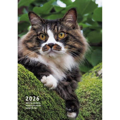 岩合光昭　クジラ　写真パネル　シリアルナンバー入り 岩合光昭 クジラ 写真パネル シリアルナンバー入り 岩合光昭