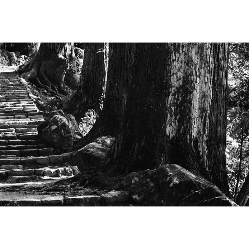 土門拳全集　13巻　日本名建築写真選集室生寺　土門拳撮影 日本名建築写真選集 (第1巻) 室生寺 | 工藤 圭章, 山折 哲雄