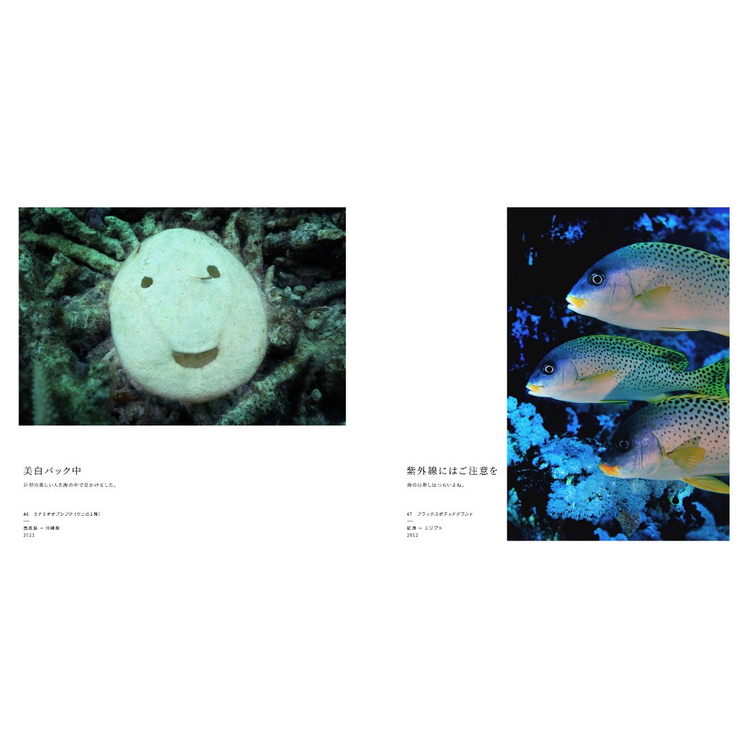 中村征夫】写真集『海中顔面大博覧会』 | Crevis Online Store