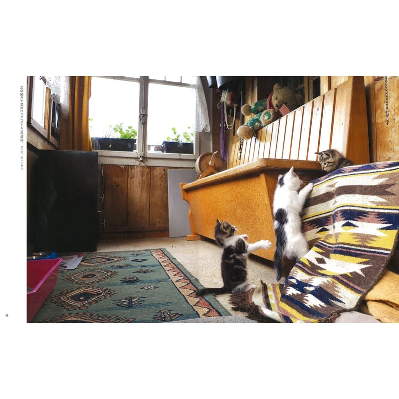 岩合光昭】写真集『こねこ』 | Crevis Online Store