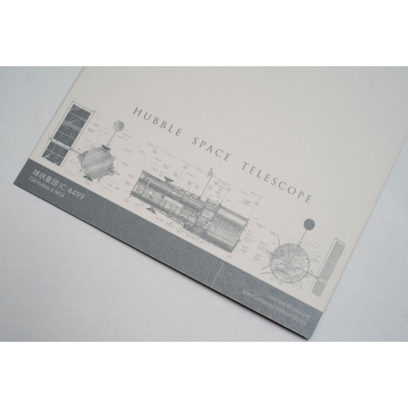 レア　張哲瀚  CLINIQUE 公式ポストカード ポストカード(THANK YOU/rose) – BASIC AND ACCENT ONLINE STORE