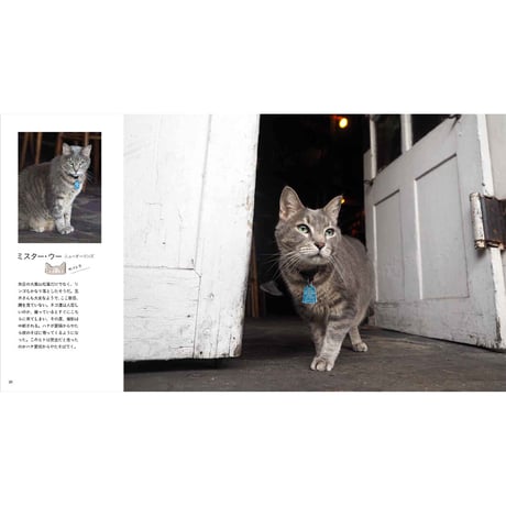 【岩合光昭】IWAGO’S BOOK ②『とらねこ』