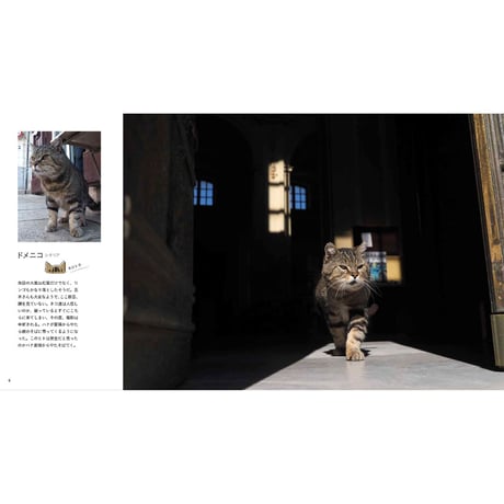 【岩合光昭】IWAGO’S BOOK ②『とらねこ』