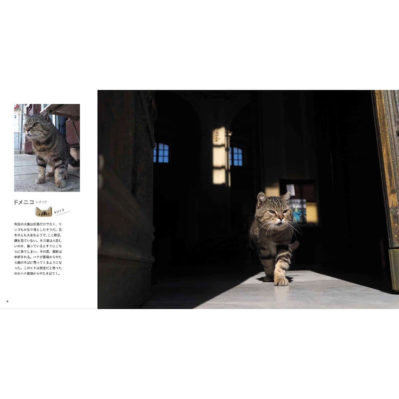 とらねこページ a610be59b1bfecbd19f567a1acdbfb
