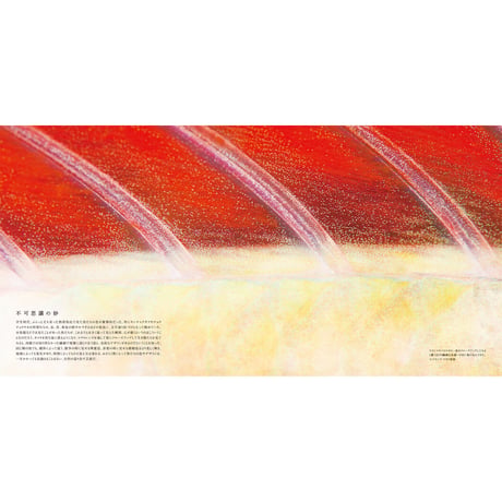 【古見きゅう】写真集『The Coral Triangle 〜密林珊瑚〜』