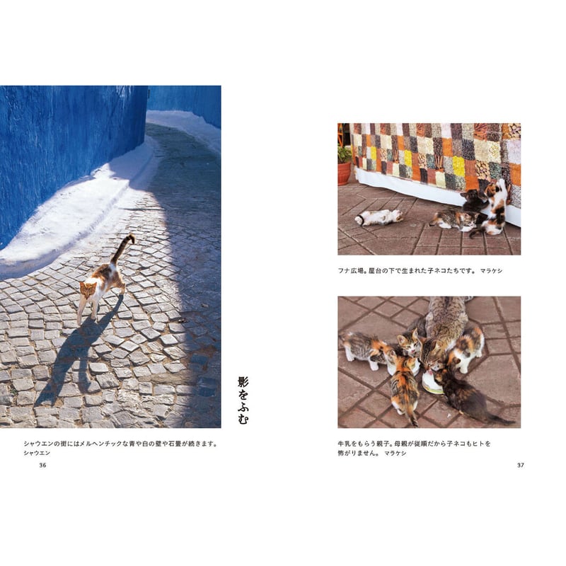 岩合光昭】写真文庫『ねこ歩き』 | Crevis Online Store 岩合光昭】写真文庫『ねこ歩き』 | Crevis Online Store