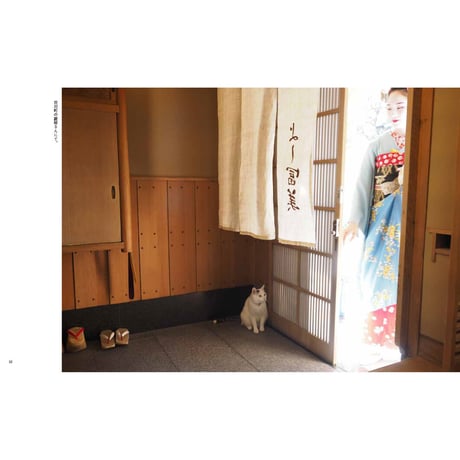 【岩合光昭】写真集『ねこの京都』