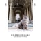 【岩合光昭】写真集『岩合光昭の世界ネコ歩き ヨーロッパの空の下』