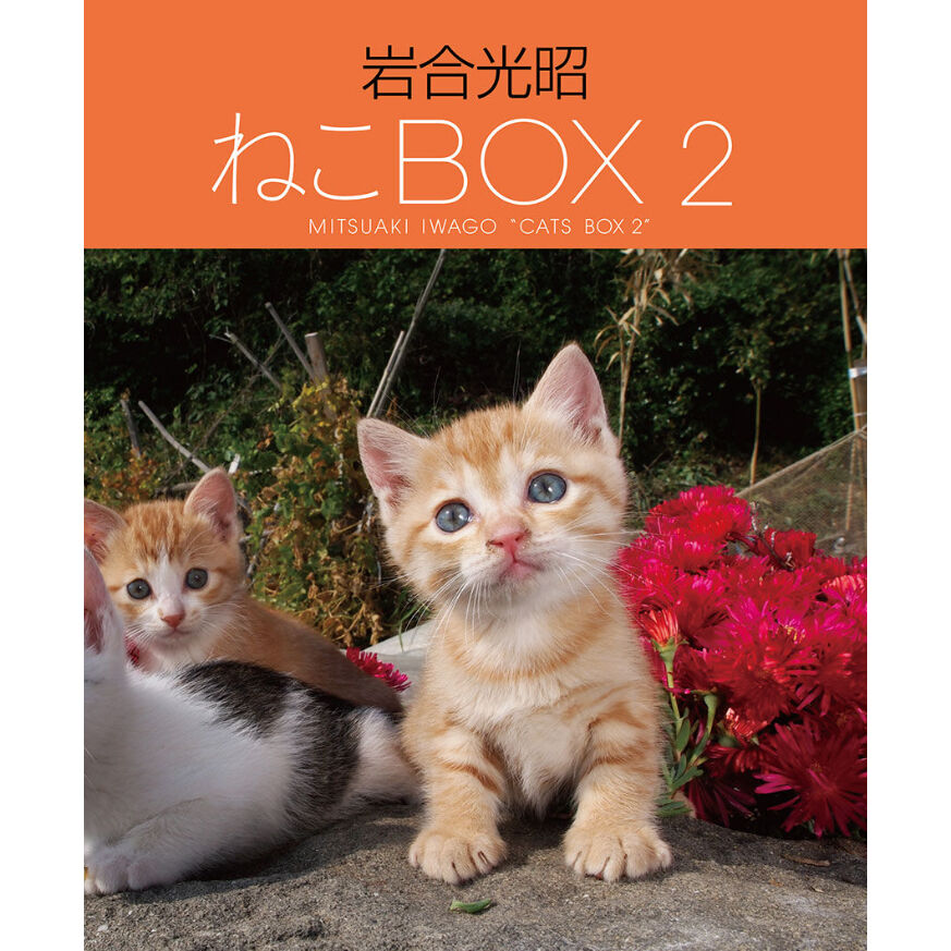 ねこ 岩合光昭】岩合光昭 ねこBOX2 | Crevis Online Store