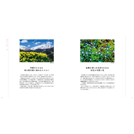 【今森光彦】写真集『にっぽんの里山を旅する』