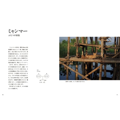 【岩合光昭】写真集『劇場版　岩合光昭の世界ネコ歩き　あるがままに、水と大地のネコ家族』
