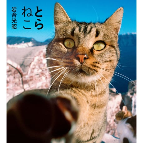 【岩合光昭】IWAGO’S BOOK ②『とらねこ』