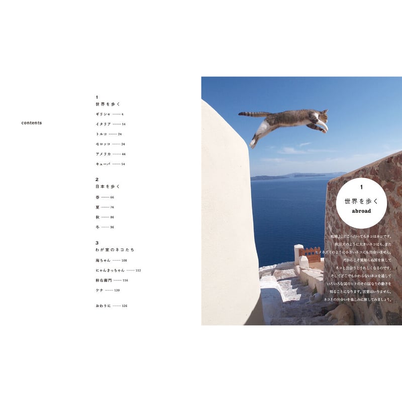 岩合光昭】写真集『ねこ歩き』 | Crevis Online Store 岩合光昭】写真集『ねこ歩き』 | Crevis Online Store