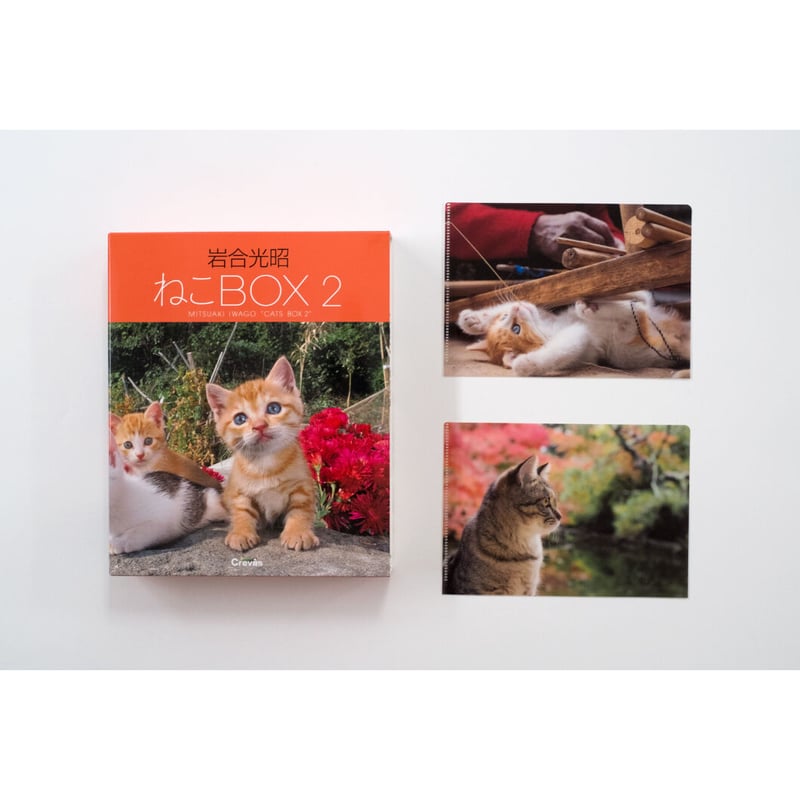 岩合光昭】岩合光昭 ねこBOX2 | Crevis Online Store