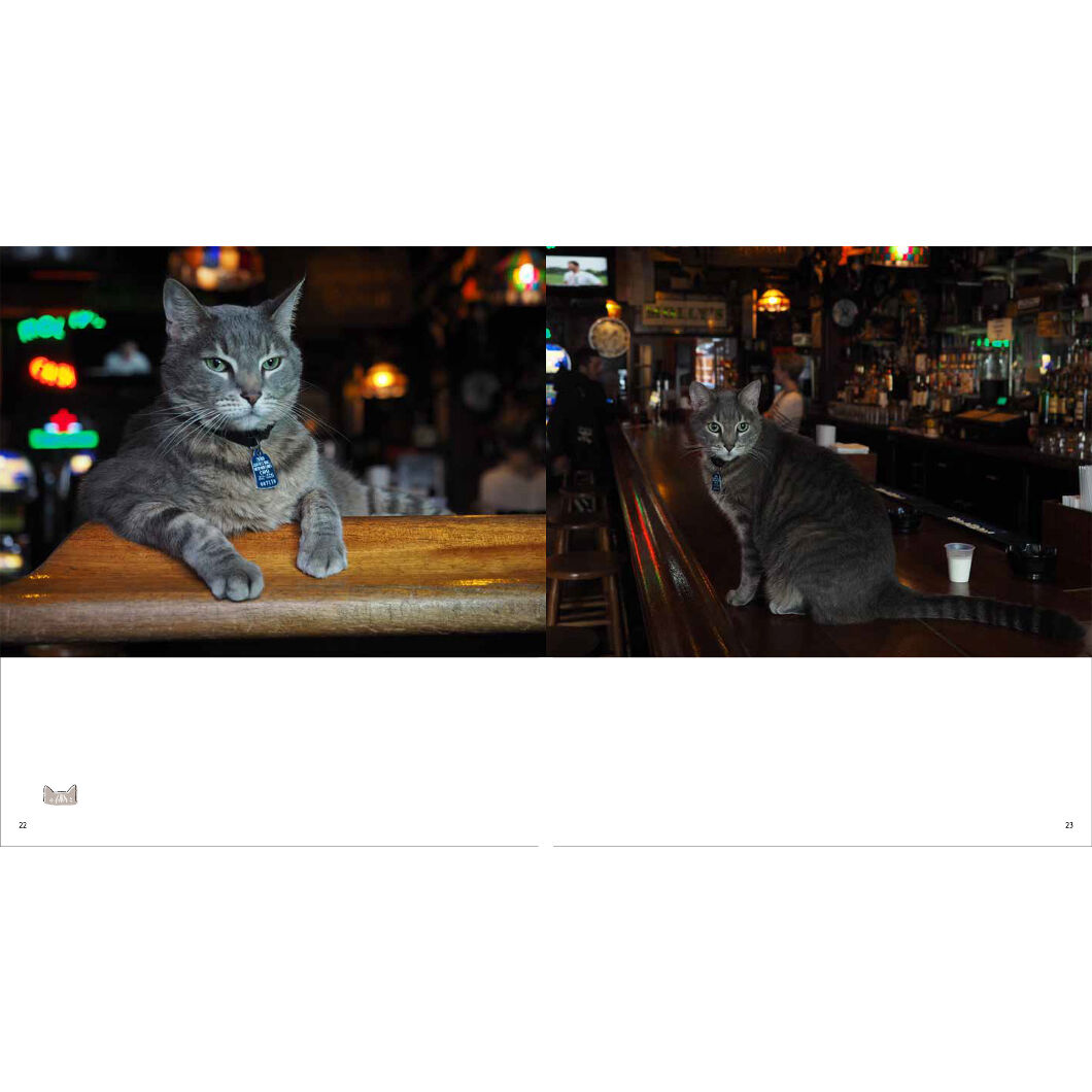 岩合光昭】IWAGO'S BOOK ②『とらねこ』 | Crevis Online Store