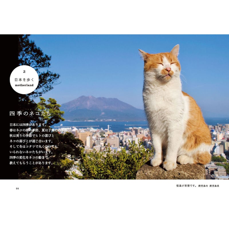 昭和レトロなネコ 猫 爪とぎ ラジカセ型 GPT キャット スクラッチハウス