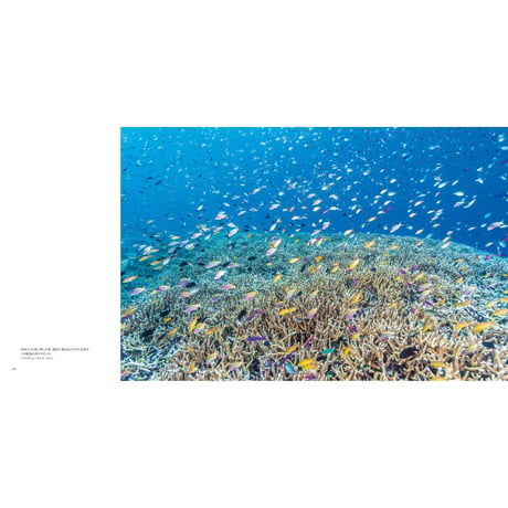 【古見きゅう】写真集『The Coral Triangle 〜密林珊瑚〜』