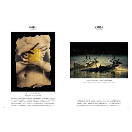 写真集『日本の現代写真1985－2015』