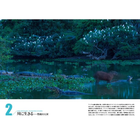 【山口大志】写真集『AMAZON 密林の時間』