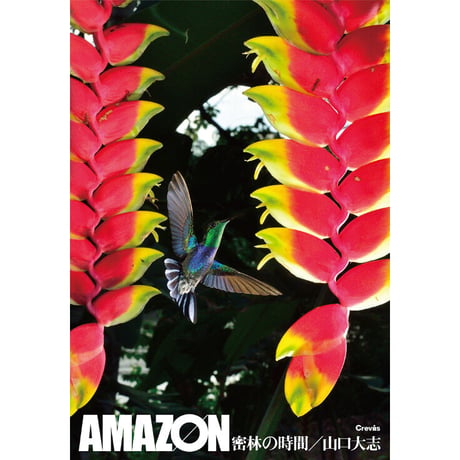 【山口大志】写真集『AMAZON 密林の時間』